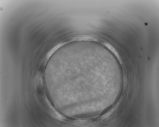 X0000080681481200612301412