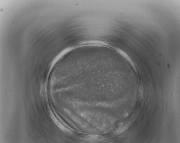 X0000080681482200612301412