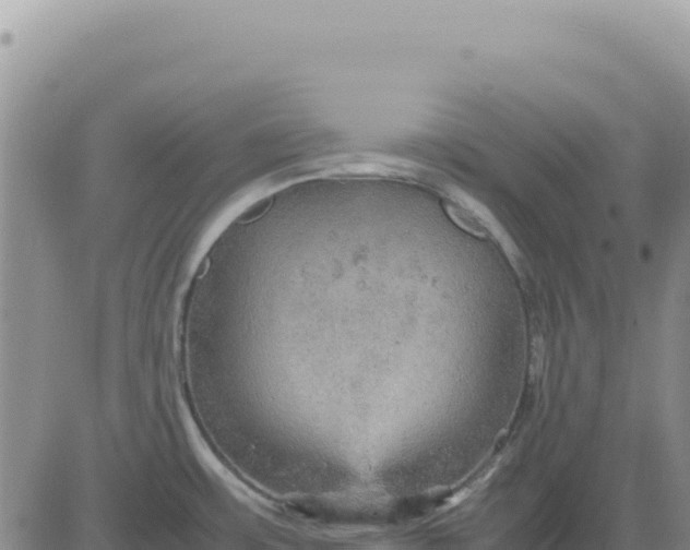 X0000080681483200612301412