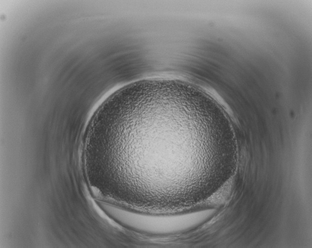 X0000080681484200612301412