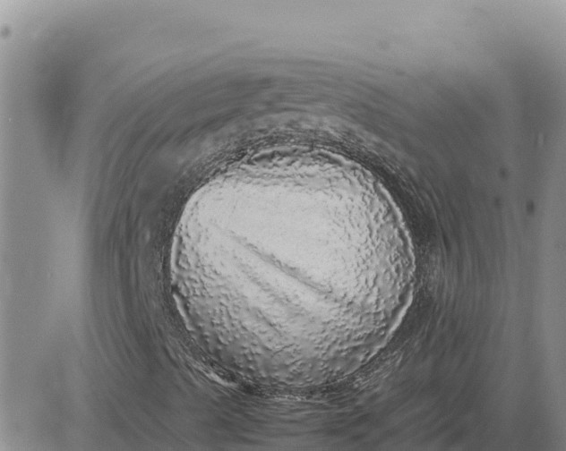 X0000080681489200612301411