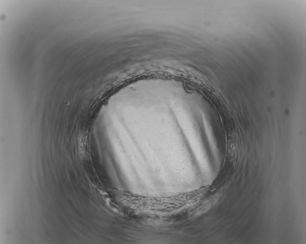 X0000080681490200612301411