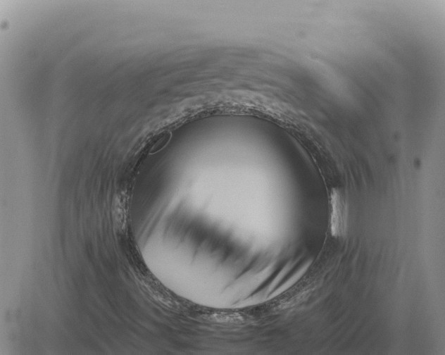 X0000080681491200612301411