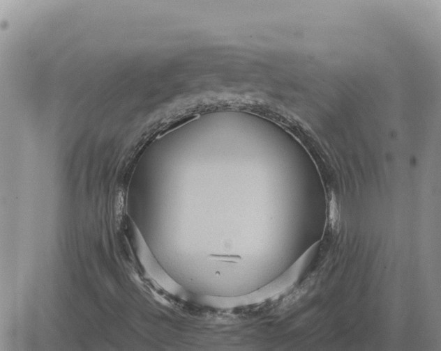 X0000080681492200612301411