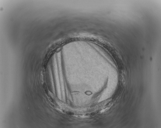 X0000080681493200612301411