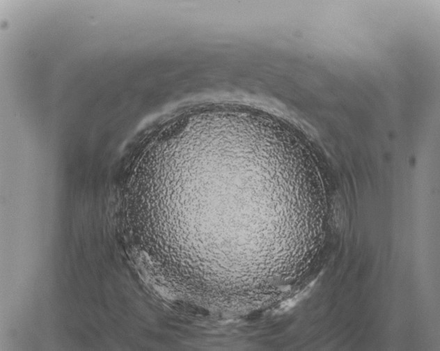 X0000080681494200612301412