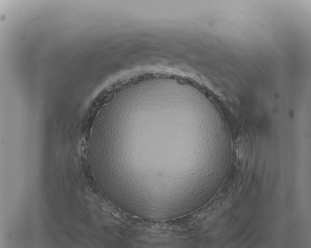 X0000080681495200612301412