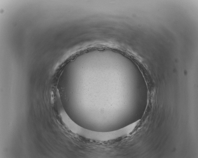 X0000080681496200612301412