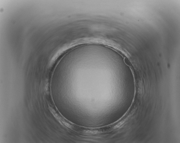 X0000080681499200612301412