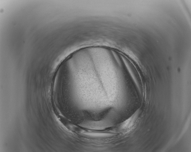 X0000080681500200612301412