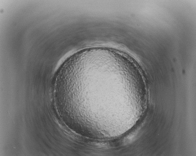 X0000080681501200612301412