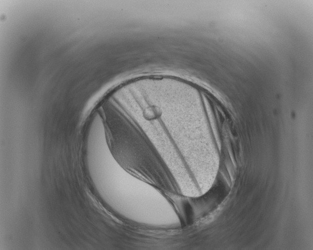 X0000080681502200612301412