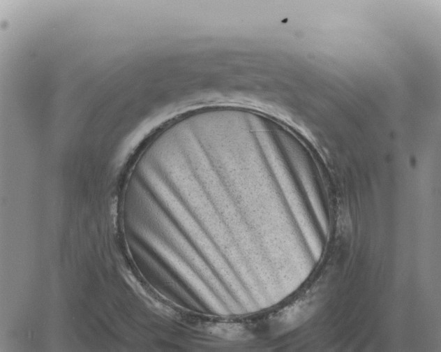 X0000080681503200612301412