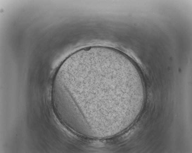 X0000080681504200612301412