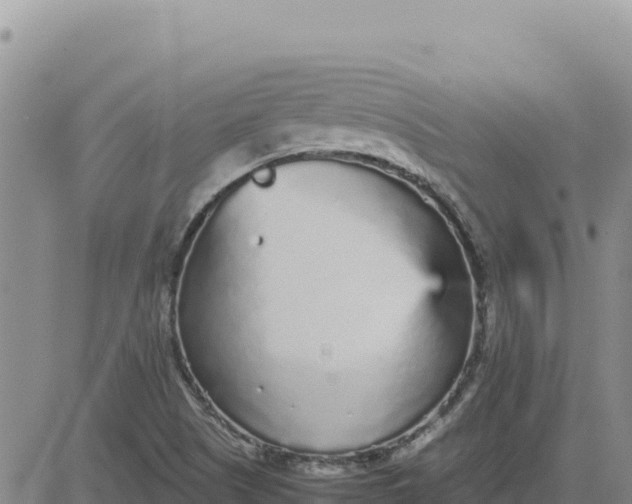 X0000080681505200612301412