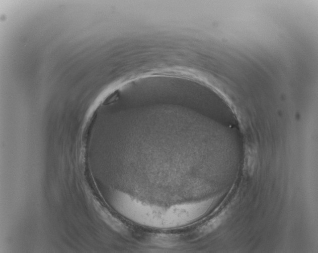 X0000080681506200612301412