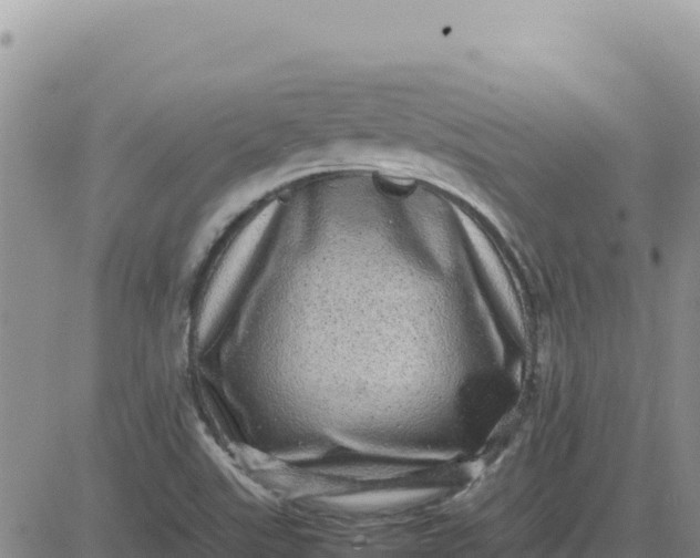 X0000080681507200612301412