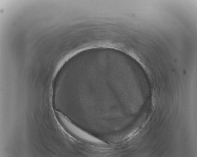 X0000080681508200612301412