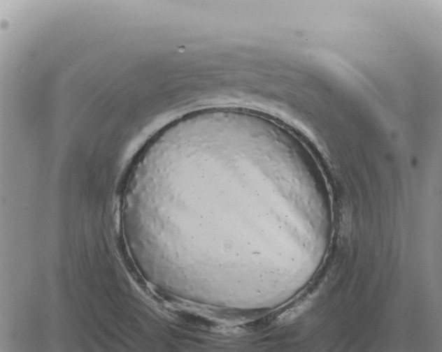 X0000080681509200612301412