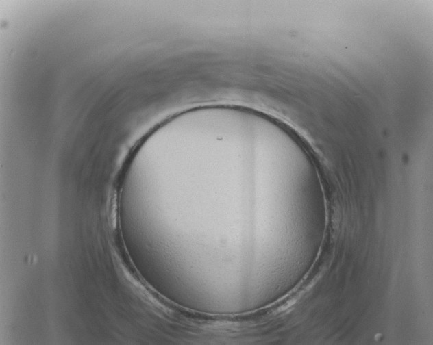 X0000080681510200612301412