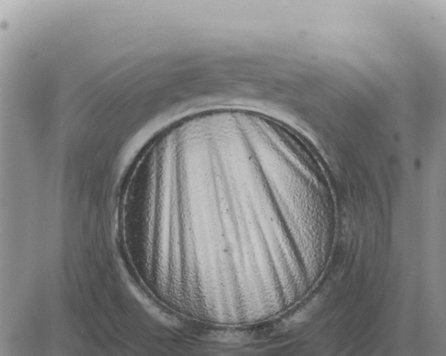 X0000080681511200612301412