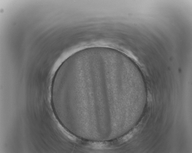 X0000080681512200612301412