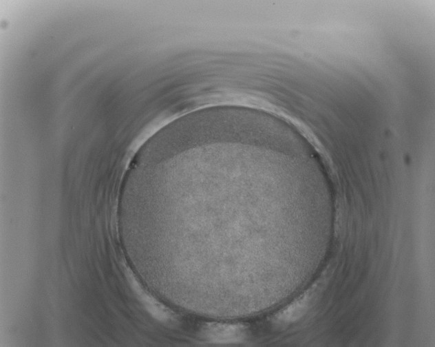 X0000080681513200612301412