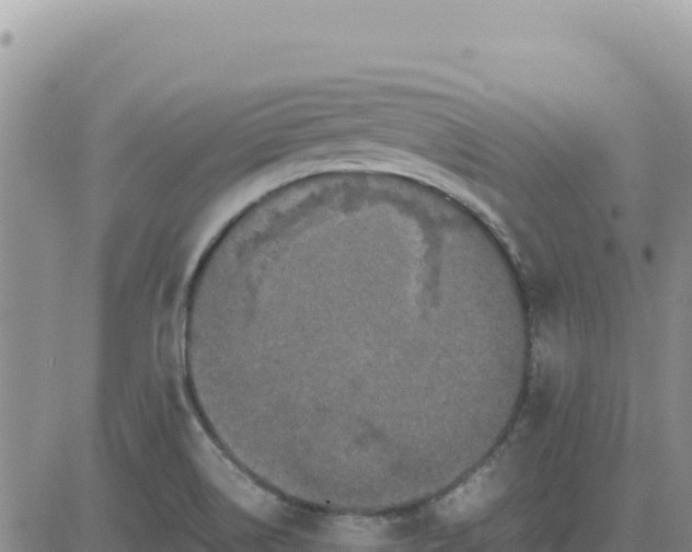 X0000080681514200612301412