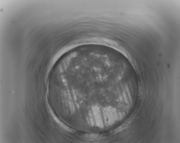 X0000080681515200612301412