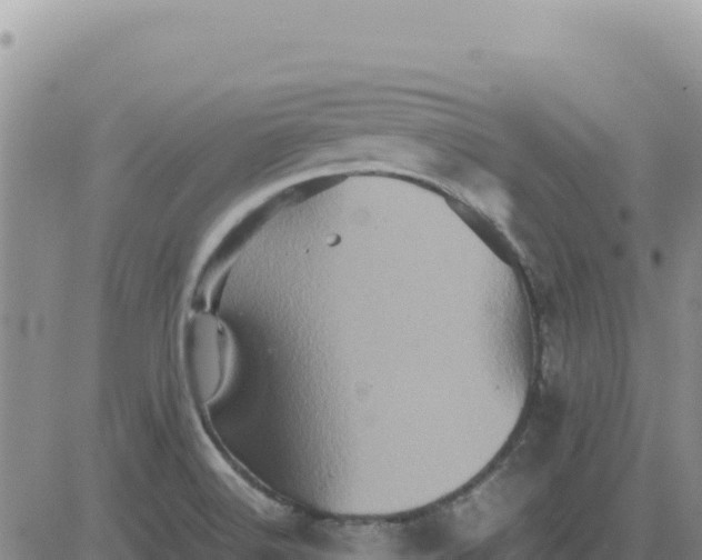 X0000080681516200612301412