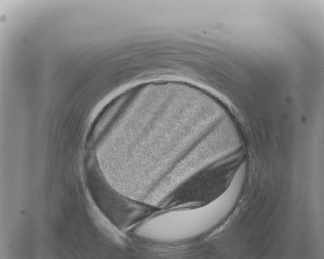 X0000080681518200612301412