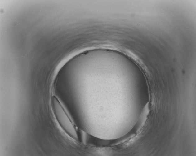 X0000080681520200612301412