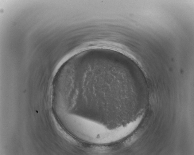 X0000080681522200612301412