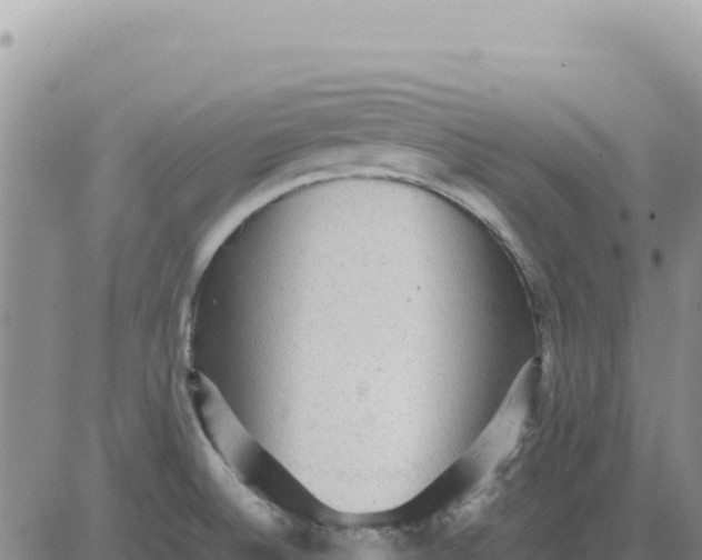 X0000080681524200612301412