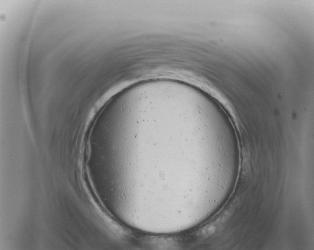 X0000080681525200612301412