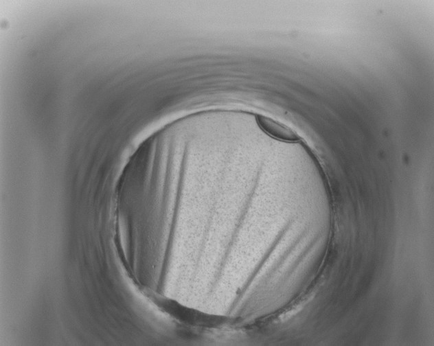 X0000080681526200612301412