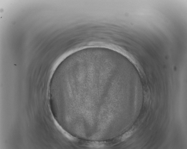 X0000080681527200612301412