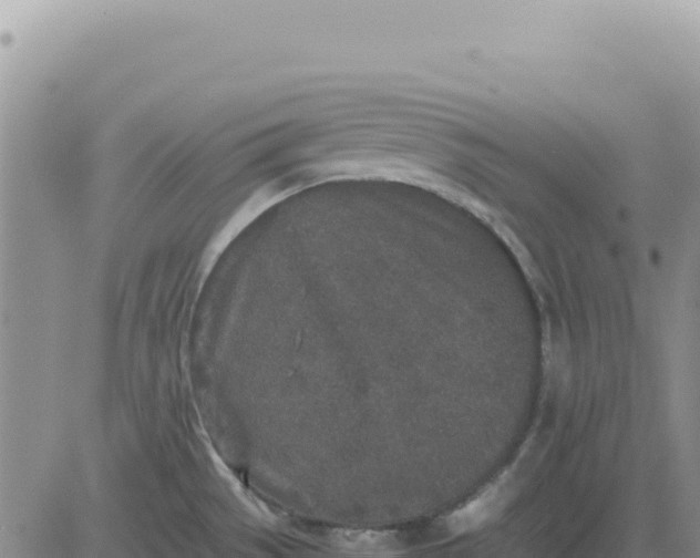 X0000080681529200612301412