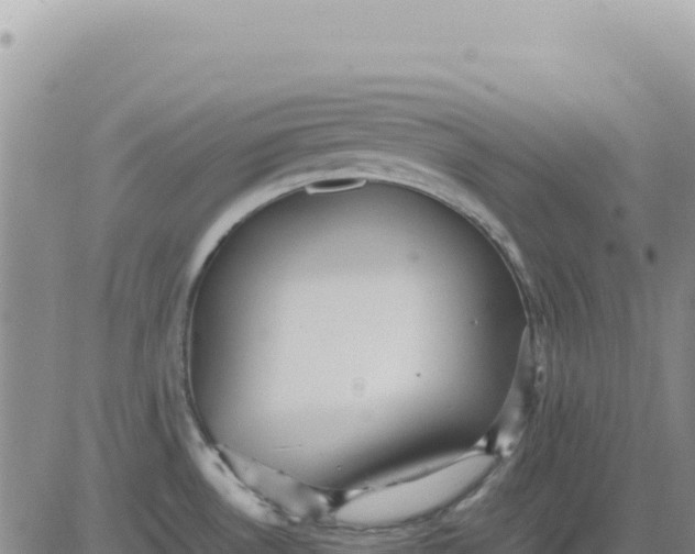 X0000080681530200612301412