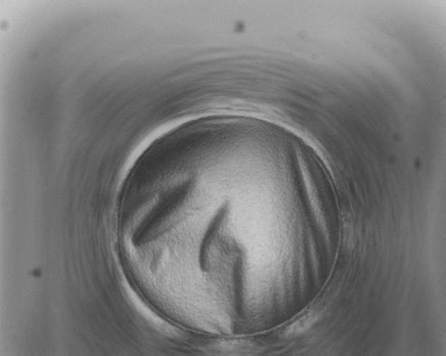 X0000080681531200612301412