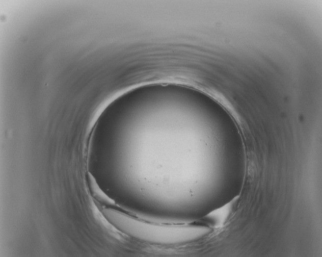 X0000080681532200612301412