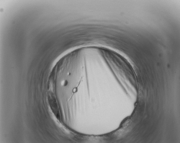 X0000080681534200612301412