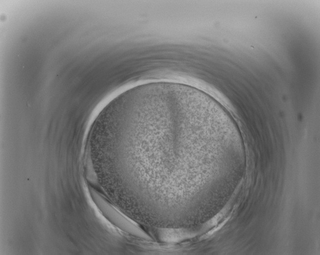 X0000080681536200612301412