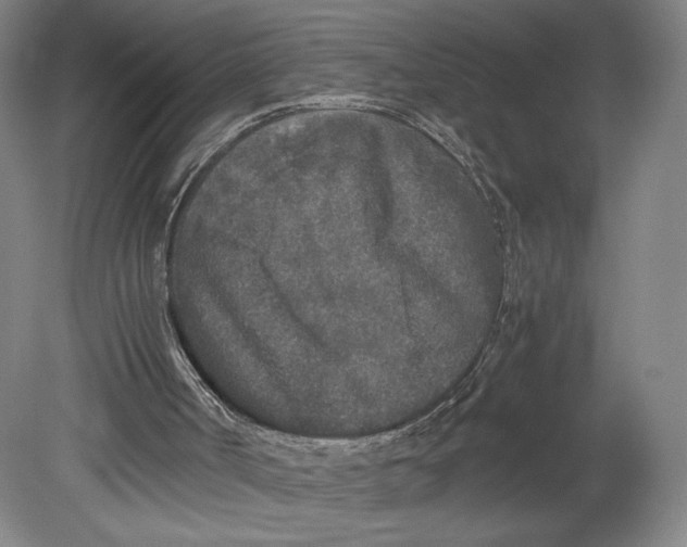 X0000080680002200701051046