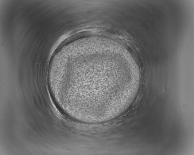 X0000080680003200701051046