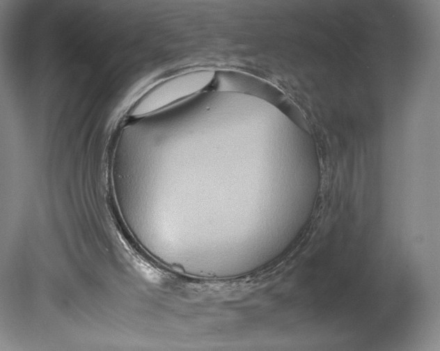 X0000080680005200701051046