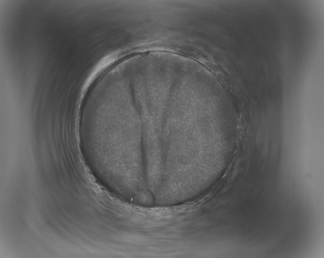 X0000080680006200701051046