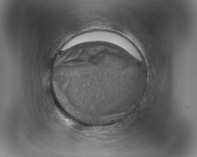 X0000080680009200701051046