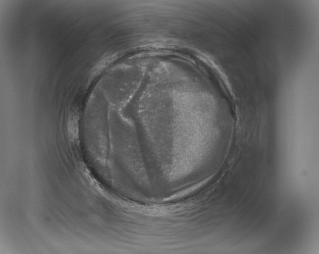 X0000080680010200701051046