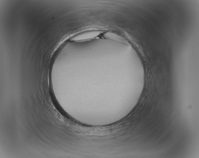 X0000080680011200701051046